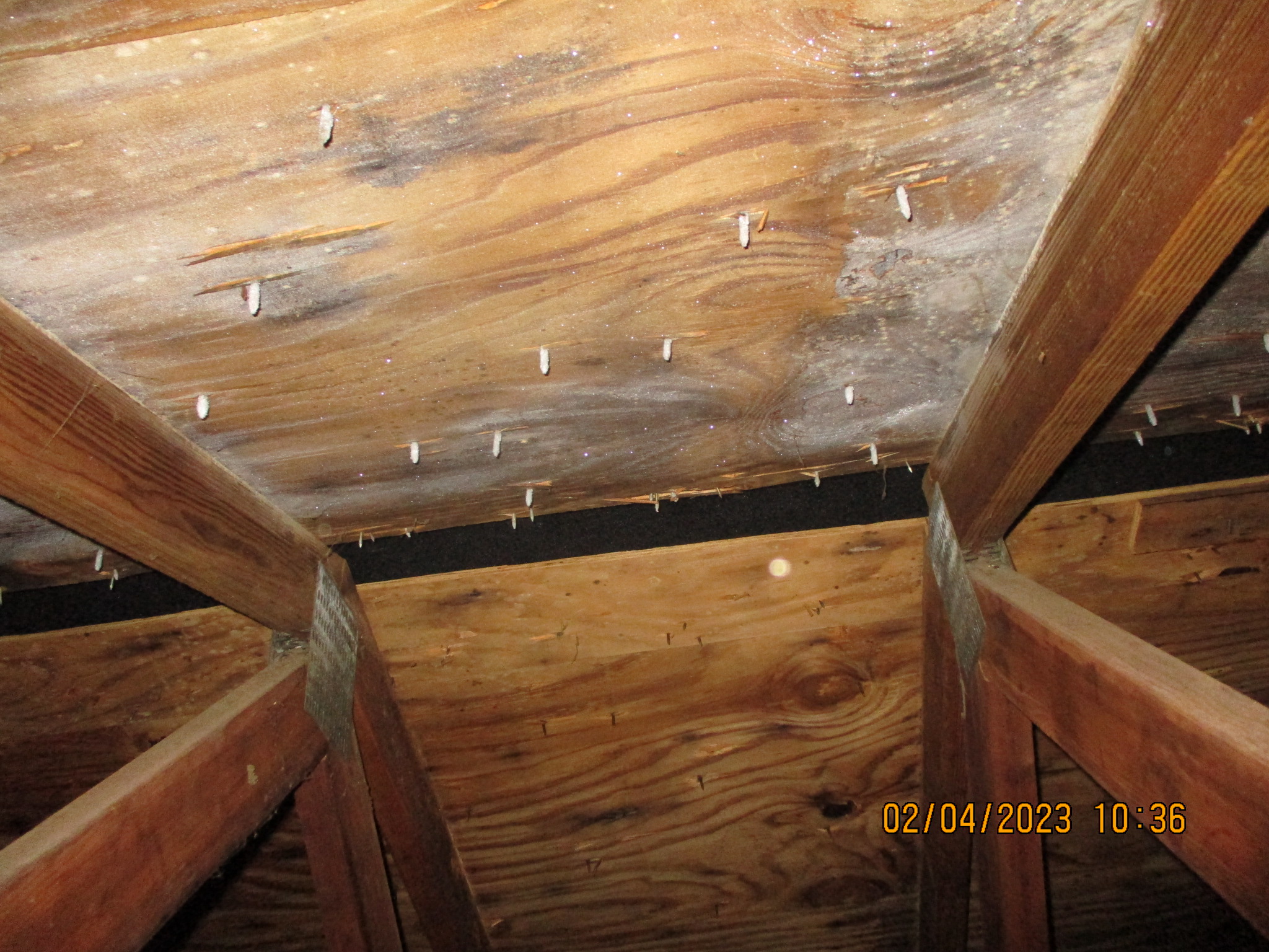 Frost on sheathing and not sure if the ridge vent allows air flow.