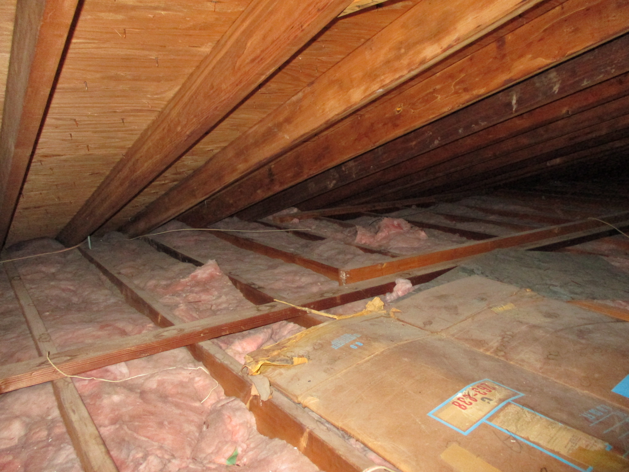 Attic free of mold