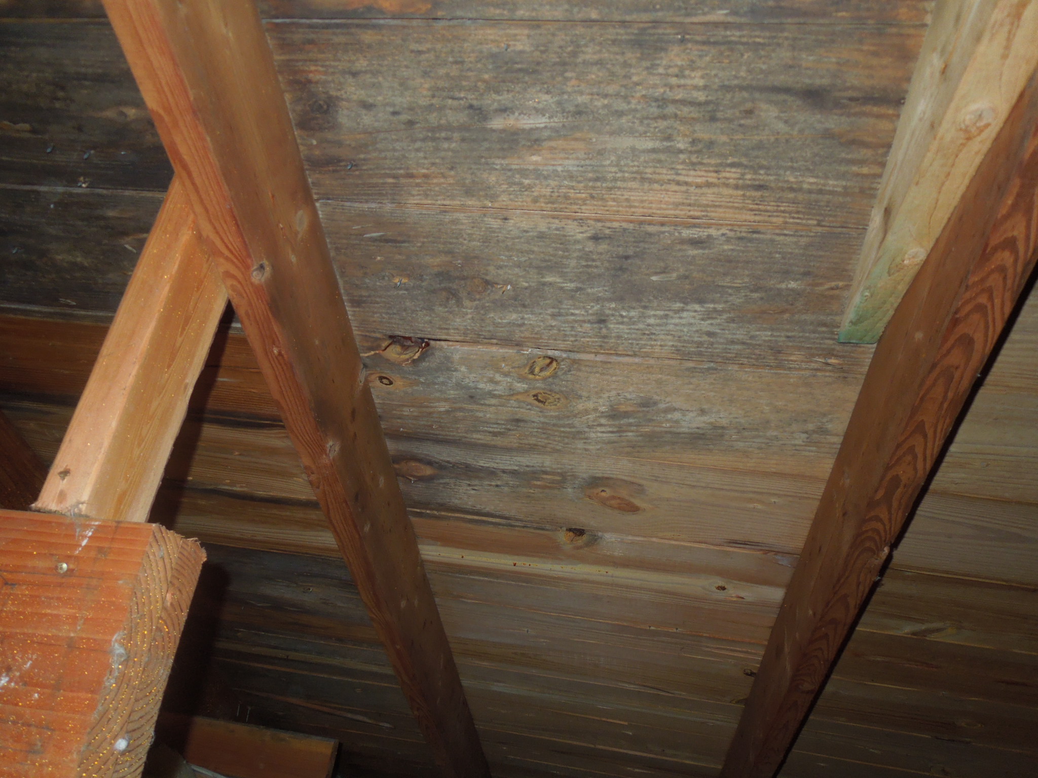 Widespread mold on attic sheathing