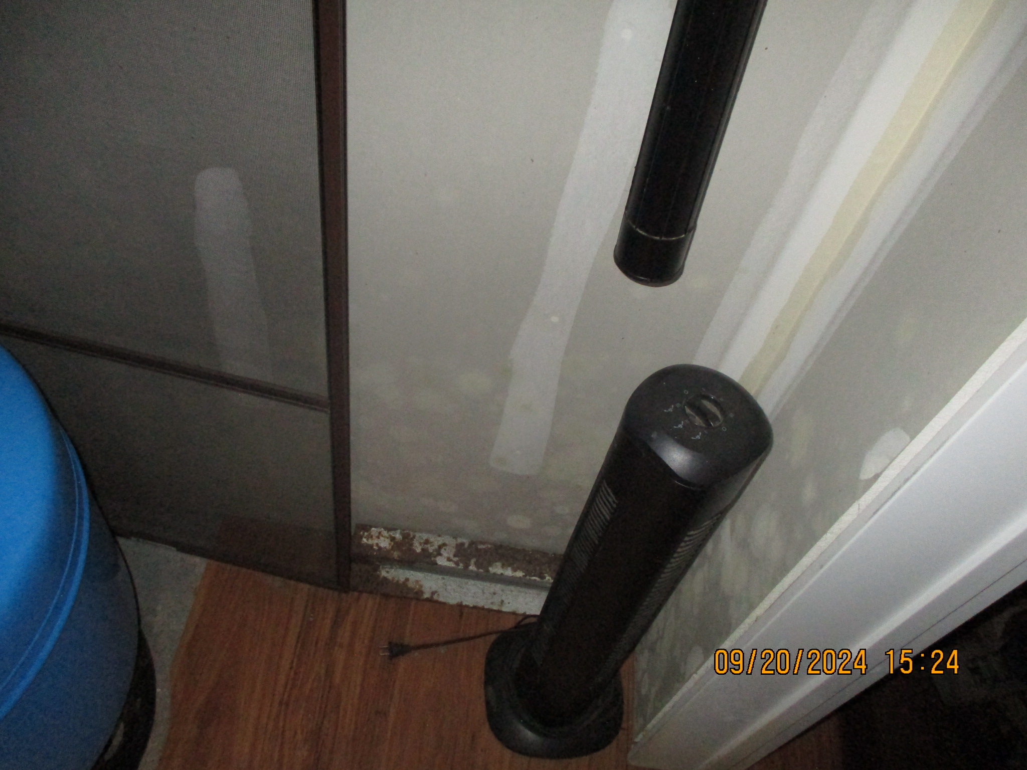 Mold Assessment in Gardiner